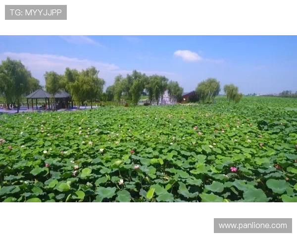 南京俱乐部携手宝应共建青训体系 南京俱乐部携手宝应共建青训体系